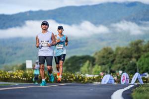 BIB: 
                            <button type="button" onclick="openModal(26542489)" class="btn btn-primary btn-sm float-right btn-popup" data-toggle="modal" data-target=".modal-high-quality">
                        <i class="fas fa-shopping-cart"></i> Add to Cart
                    </button>
                                            <button type="button" onclick="isThisMe(26542489, true)" class="btn btn-success btn-sm float-right btn-popup btn-isme hidden" data-toggle="tooltip" data-placement="bottom" title="นี่คือรูปของคุณใช่ไหม คลิกที่นี่เพื่อเอาเข้าอัลบั้ม">
                        <i class="fas fa-plus"></i> Add to album
                    </button>
                    <button type="button" onclick="isThisMe(26542489, false)" class="btn btn-warning btn-sm float-right btn-popup btn-isnotme hidden">
                        <i class="fas fa-ban"></i> Remove from album
                    </button>